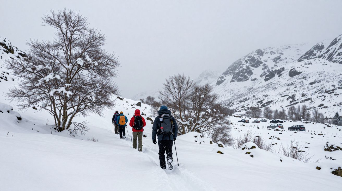 Hikers in snow-covered landscape, walking towards snowy hills with bare trees and parked cars in the background.
